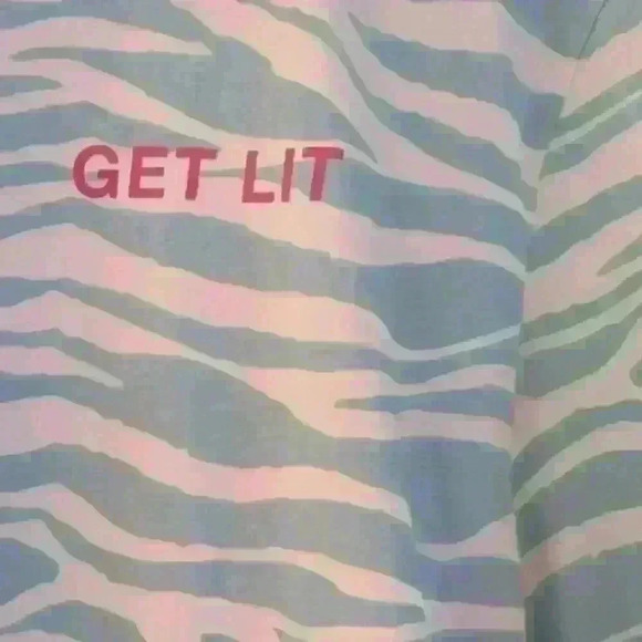 DIVIDED | Women's White/Blue Get Lit Zebra Print T-Shirt Size Medium - Picture 3 of 3